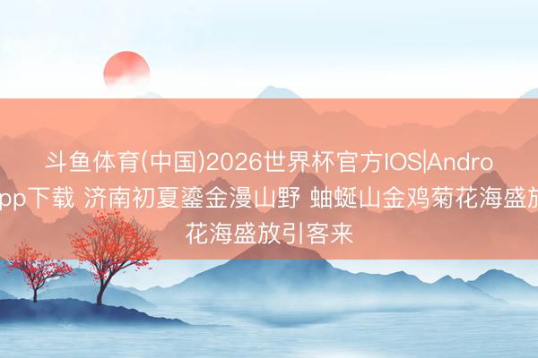 斗鱼体育(中国)2026世界杯官方IOS|Android手机app下载 济南初夏鎏金漫山野 蚰蜒山金鸡菊花海盛放引客来
