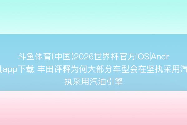斗鱼体育(中国)2026世界杯官方IOS|Android手机app下载 丰田评释为何大部分车型会在坚执采用汽油引擎