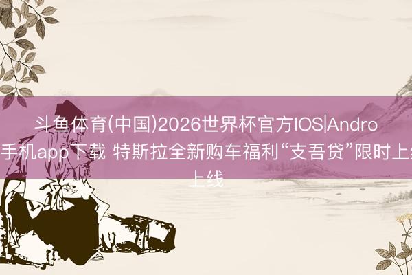 斗鱼体育(中国)2026世界杯官方IOS|Android手机app下载 特斯拉全新购车福利“支吾贷”限时上线