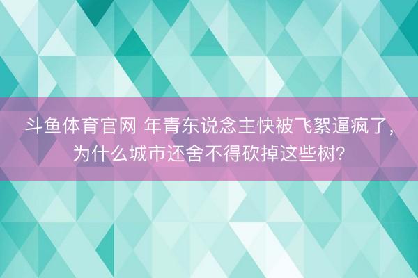 斗鱼体育官网 年青东说念主快被飞絮逼疯了，为什么城市还舍不得砍掉这些树？