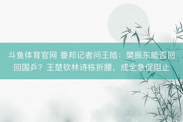 斗鱼体育官网 番邦记者问王皓：樊振东能否回回国乒？王楚钦林诗栋折腰，成全急促阻止