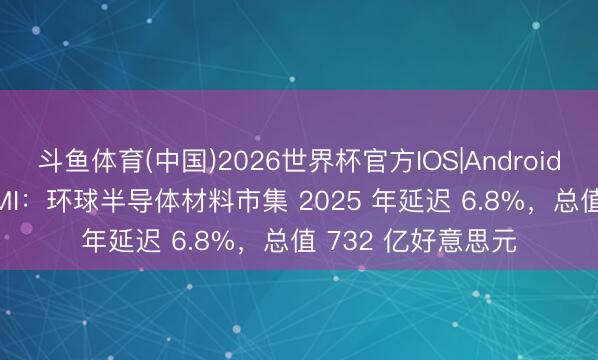 斗鱼体育(中国)2026世界杯官方IOS|Android手机app下载 SEMI：环球半导体材料市集 2025 年延迟 6.8%，总值 732 亿好意思元