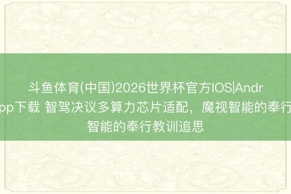 斗鱼体育(中国)2026世界杯官方IOS|Android手机app下载 智驾决议多算力芯片适配，魔视智能的奉行教训追思