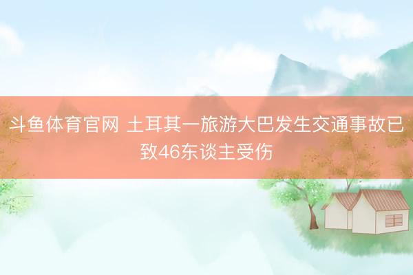 斗鱼体育官网 土耳其一旅游大巴发生交通事故已致46东谈主受伤