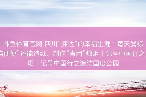 斗鱼体育官网 四川“胖达”的幸福生涯：每天餐标500元，“熊猫便便”还能造纸、制作“青团”烛炬丨记号中国行之造访国度公园
