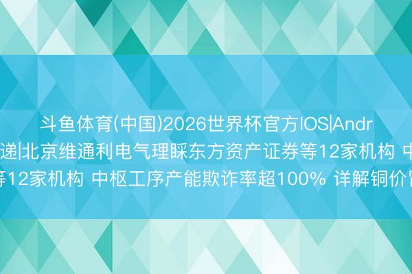 斗鱼体育(中国)2026世界杯官方IOS|Android手机app下载 调研速递|北京维通利电气理睬东方资产证券等12家机构 中枢工序产能欺诈率超100% 详解铜价冒昧与储能布局