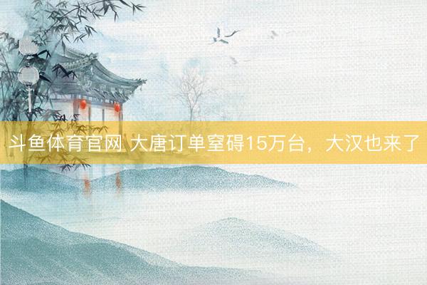 斗鱼体育官网 大唐订单窒碍15万台,大汉也来了